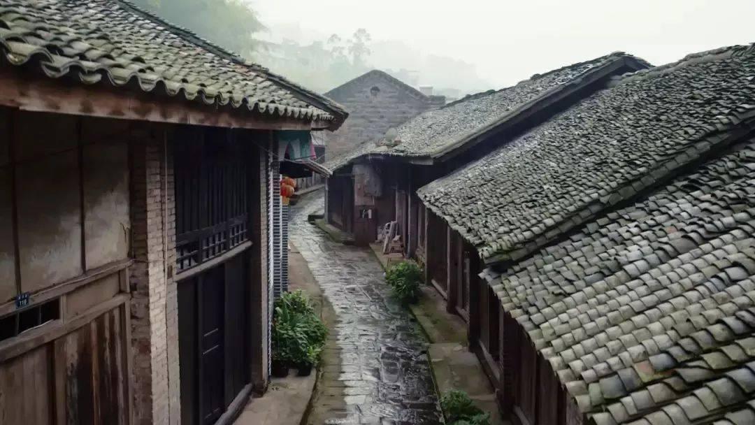 猫咪吃完皮蛋呕吐怎么办啊,中午吃了放了很久的皮蛋,然后不到5分钟就吐了,目前精神状况还行?,全球最具影响力的红迪网平台